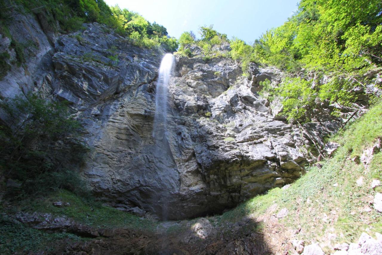 Ferienwohnungen Haus Waldwinkel Ашау им Кимгау Екстериор снимка